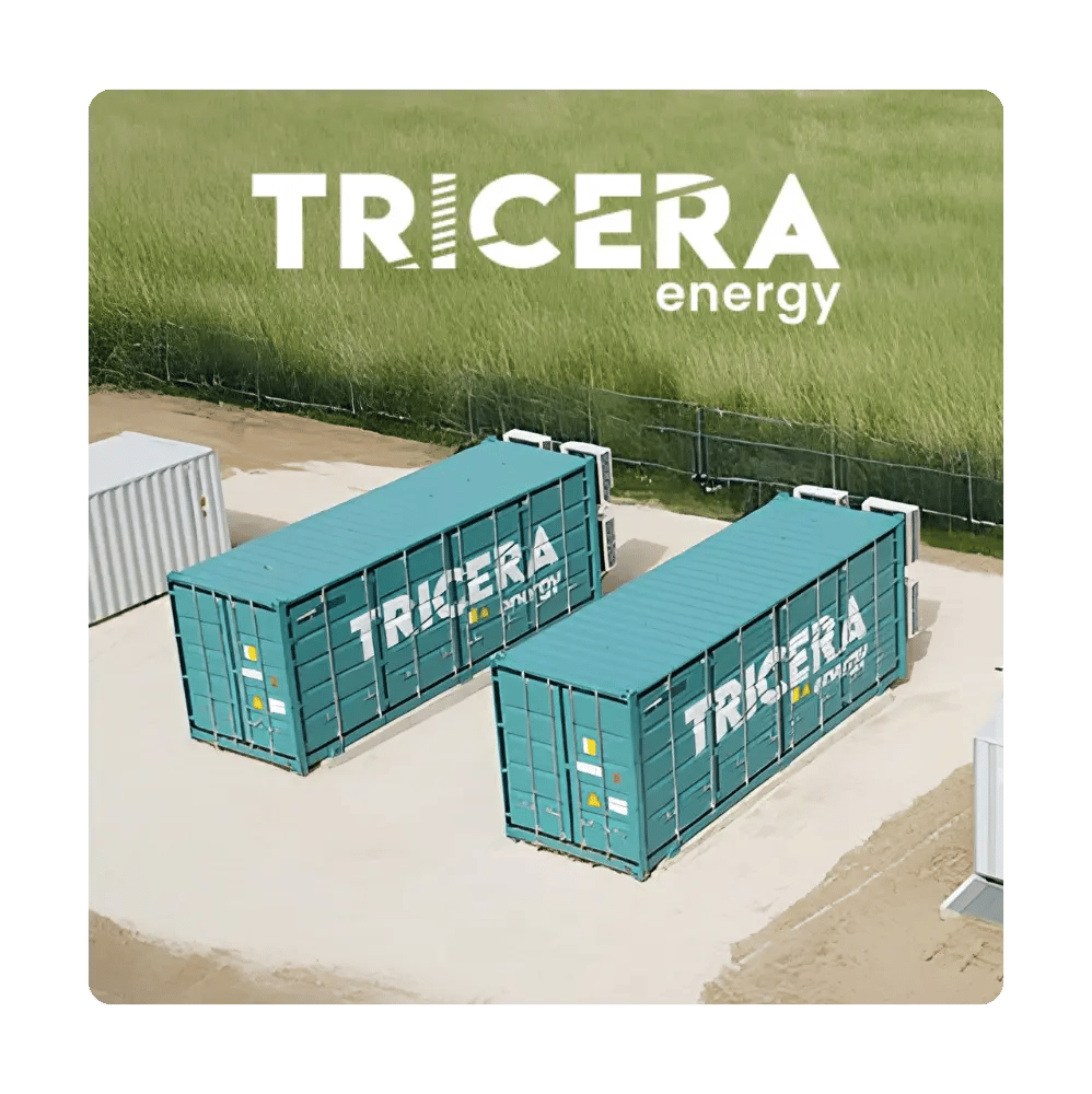 Tricera